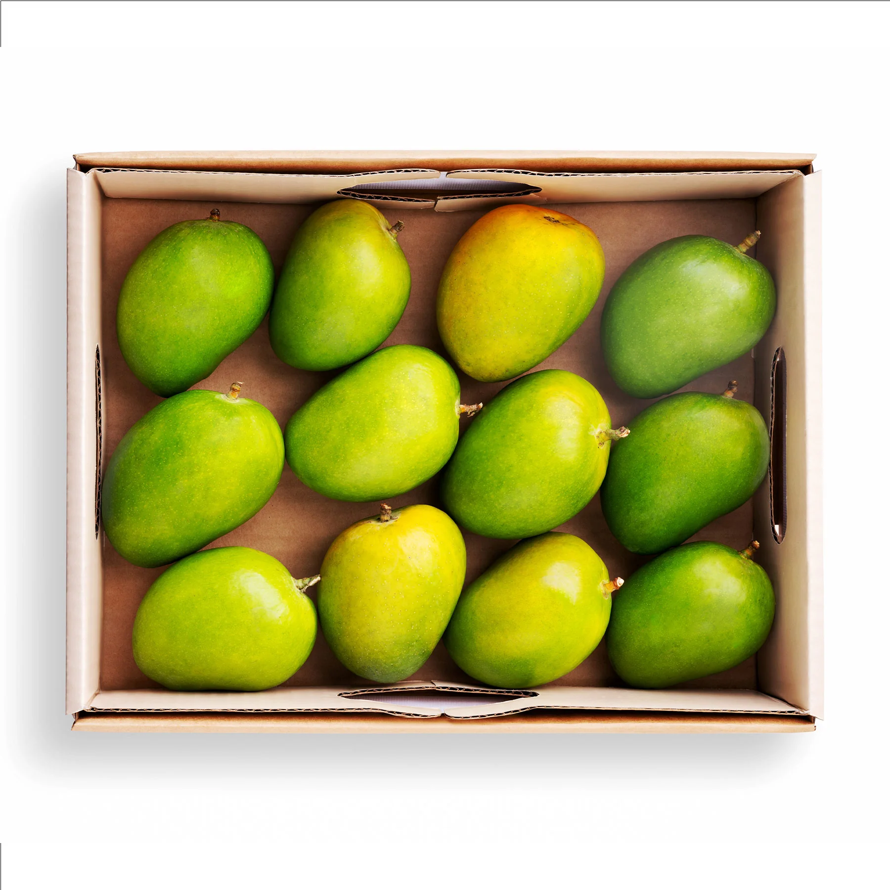 Badami Mango - Image 4