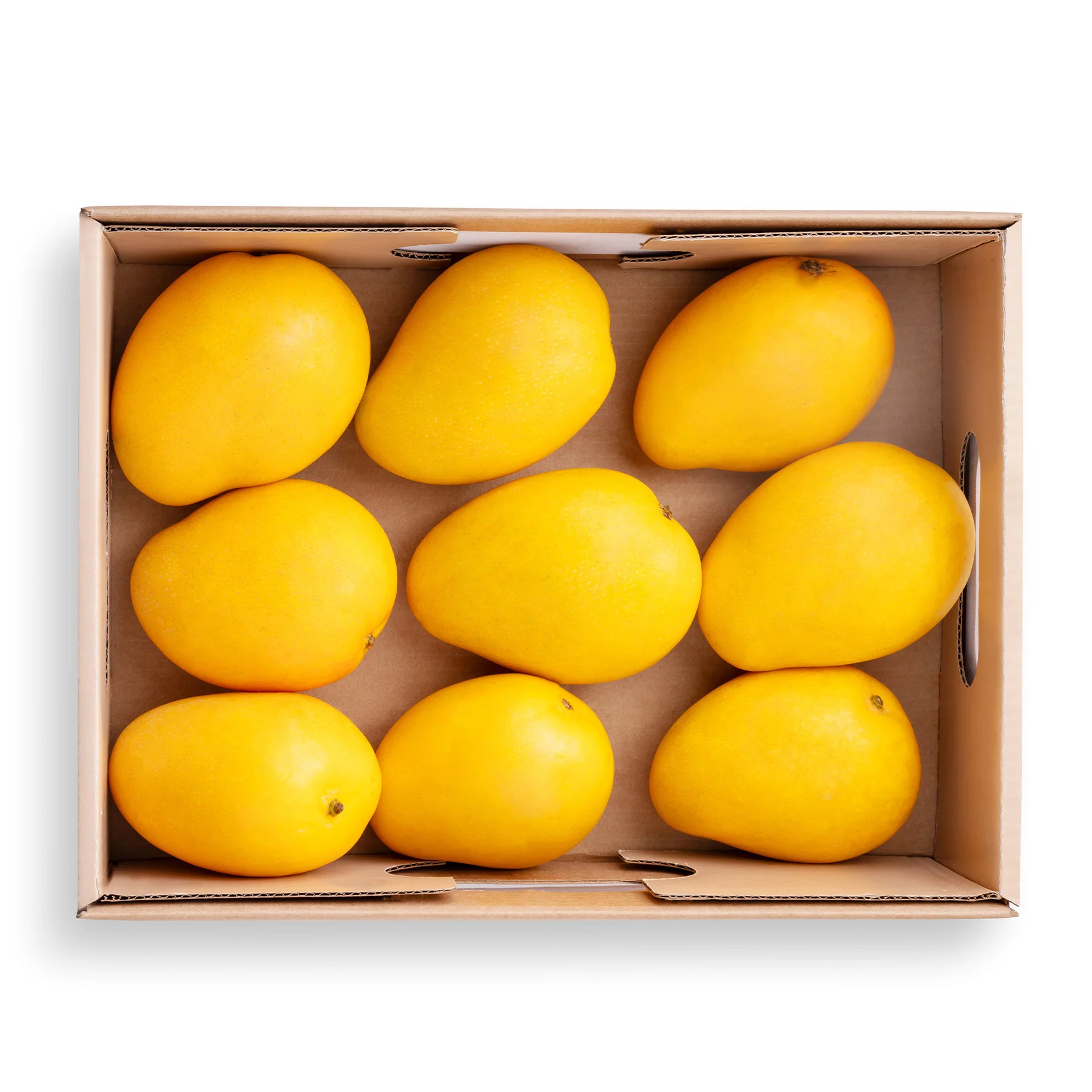 Banganpalli Mango - Image 4